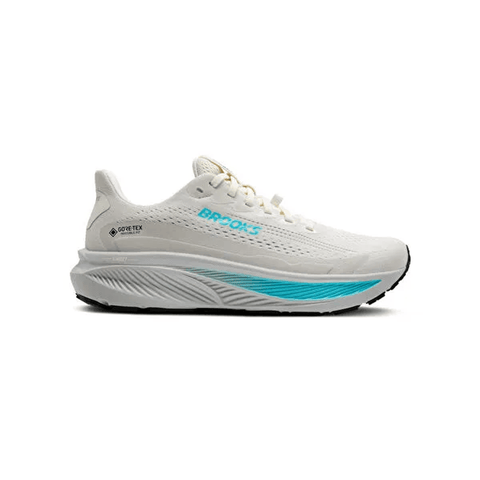 Brooks Women's Ghost 17 GTX
